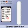 [Full Transparent] Medium Plastic Box-Bulk