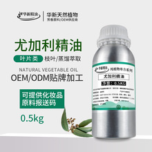 �ȼ����������~�����¿՚�������w��޹DIY����Eucalyptus���~��