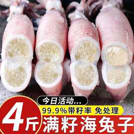 【顺丰】满籽籽乌全籽带籽新鲜笔管鱼小墨鱼鱿鱼冷冻海兔子海鲜
