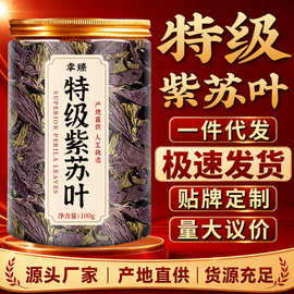 特级紫苏叶中药材野生干新鲜苏子叶泡水喝的功效与作用一件代发