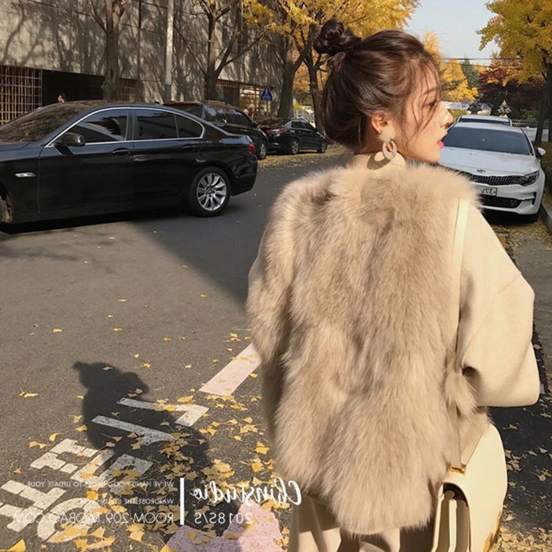 2026 Autumn and Winter New Style Imitation Fox Fur Imitation Fur Vest Short Style Fur Vest Korean Style Slimming Look Plush Outwear