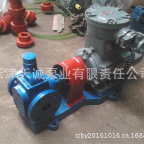 防爆圆弧泵YCB/不锈钢泵/人字泵/斜齿泵/复合泵/铜轮泵/