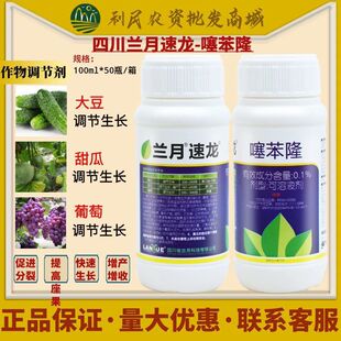 �Ĵ��m������0.1%�籽¡�S����������{�����L���M�����rș�{����