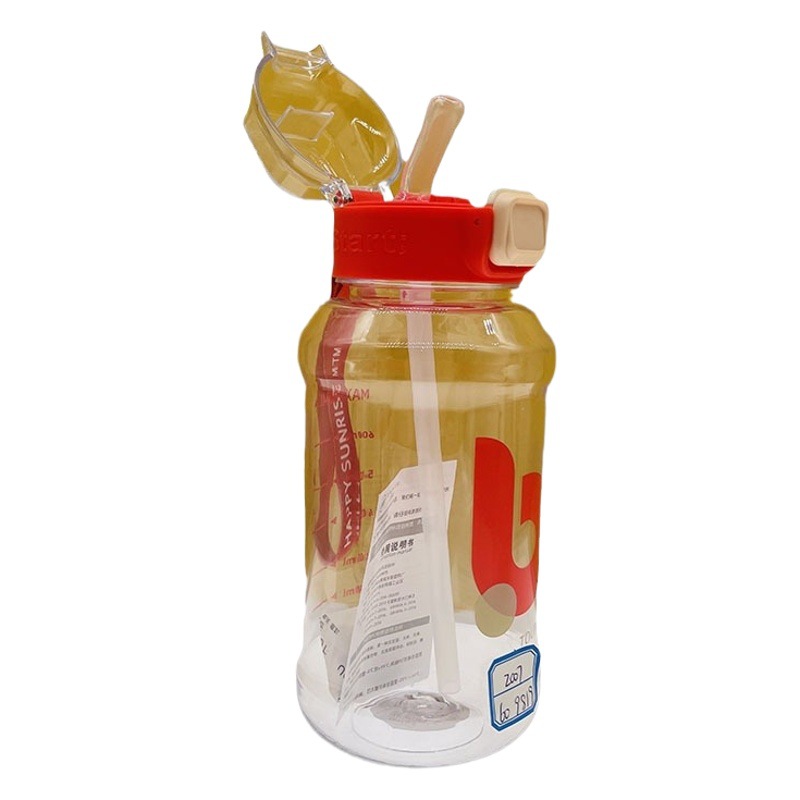 Dumedo 2022PC plástico taza de paja estudiante deportes al aire libre botella de agua portátil taza de agua taza de espacio fábrica al por mayor