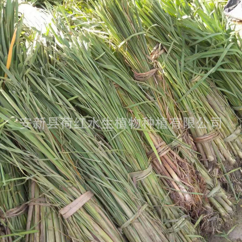 9bf51087192c020b38b218de7fede4