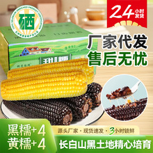 ���ږ|��Ŵ�������l��Ŵ�����ת�����հ��b�������rŴ����
