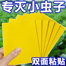 双面粘虫黄板诱虫板柑橘子树瓜果实蝇针蜂粘苍蝇贴粘虫板蓟粘鼠板