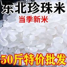 ��������2025������50��װһ��������20�ﾬ��������qiju�й�Ⱥľ