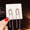 Long fashionable earrings with tassels, accessory, European style, diamond encrusted, internet celebrity, wholesale