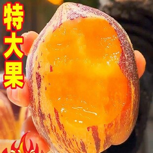 ���CɳĮ�˅���10�������rˮ�����޹����S���߲��˅�����������