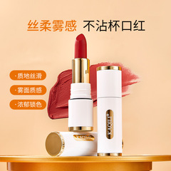 絲霧絲絨不沾杯不掉色口紅啞光持久唇膏防水小白管口紅 跨境