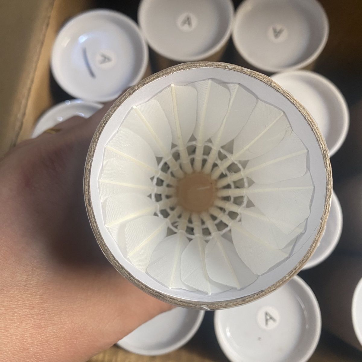 Hard Head 12-Pack Provincial Team Training Unlabeled Badminton Goose Feather Ball Durable Fast Ball Indoor and Outdoor Overall Cork