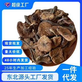 黑木耳;蘑菇;香菇