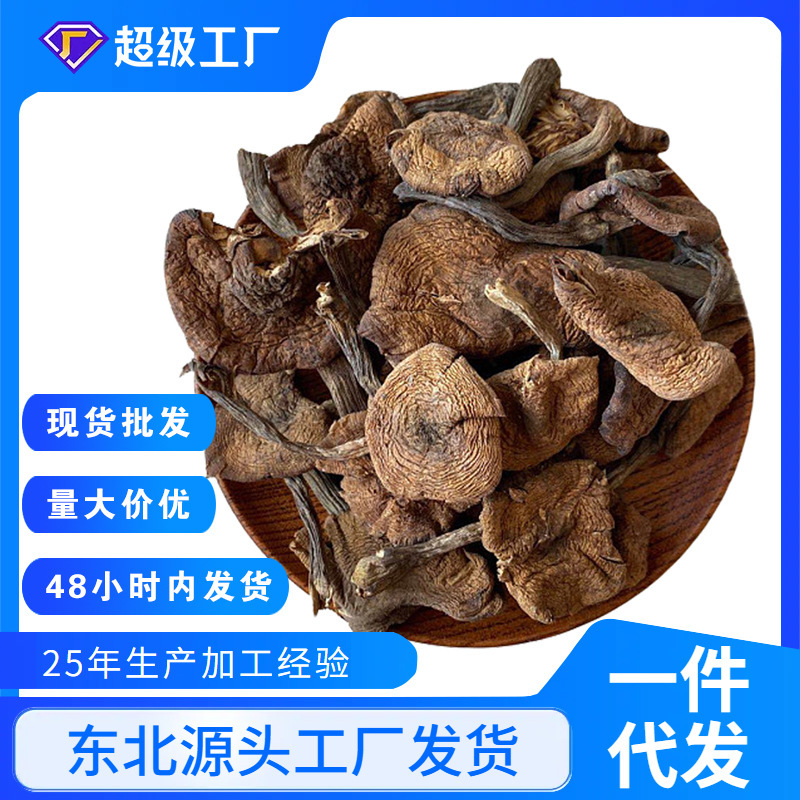 Northeast Wild Hazelnut Mushrooms, Dried Goods, Chicken Stewed Mushrooms, Daxinganling Wild Mushrooms, Wholesale Dried Goods, Hazelnut Mushrooms