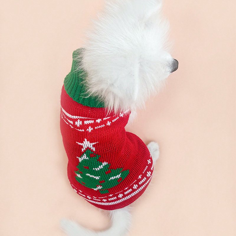 크리스마스 트리