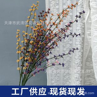 �¿���滨��˼�����l���߻��Ļ�c��Y�ò廨�쾰ӆ����鷿����
