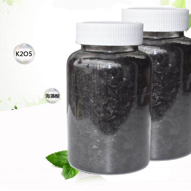 海藻肥海藻酸肥海藻精叶面肥 出口 质量 厂家直销 包邮 特价