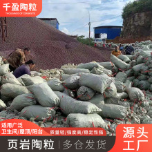 ���B�����������l�l���g���ώ������������V�|�S��ֱ�N�p�|