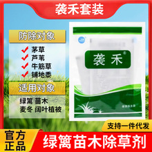 袭禾套装杂草除草剂苗木绿篱月季三叶草里除芦苇茅草马唐牛筋草等