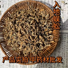 ��ș�������� ������� ���� ������ ������^·���ɢ�b���l