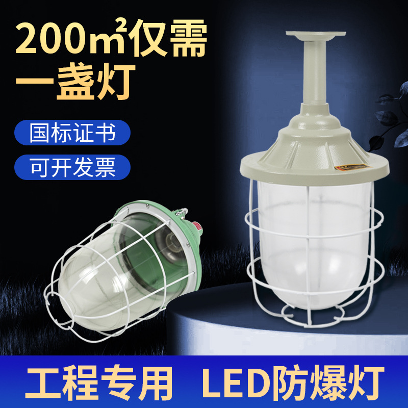 National Standard LED Explosion-proof Lamp, Intrinsically Safe Lamp, Workshop, Factory, Building Lighting, Warehouse Lamp, Gas Station Lamp, Engineering Lamp