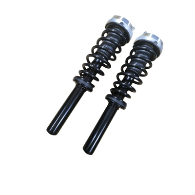 31326781917, damping system