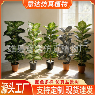 �羳 ����Gֲ��֦9�~15�~23�~���Ԙ��ֲ�ﺣ���~�������˽����l