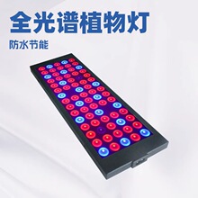 �羳��̱���90W ֲ���75��ȫ���Vֲ�����ˮ����ֲ�������оƬ