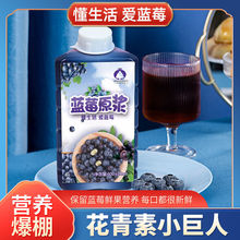 大興安嶺野生藍莓汁濃縮原漿果汁飲料鮮果榨汁廠家直銷發一件代發