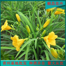 ��������� �ر��G��������ľ��� ���ݻ������l���������