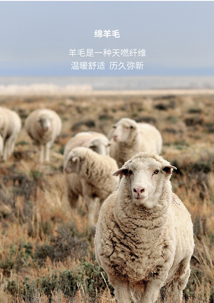 O1CN01gi7y1R1FpzSwwBomL_!!2731