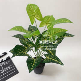 仿真大叶子植物彩芋叶塑料假树叶家居装饰人造绿植盆栽绿化花叶芋