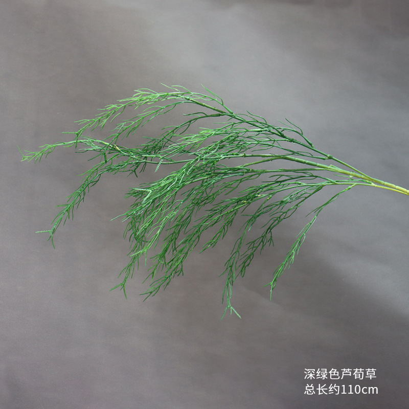 짙은 녹색 갈대