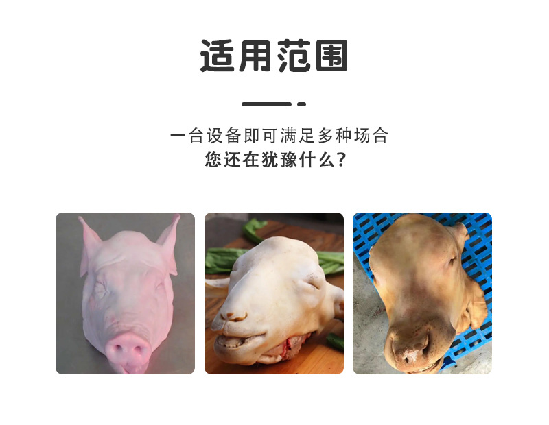 猪头劈半机_02.jpg