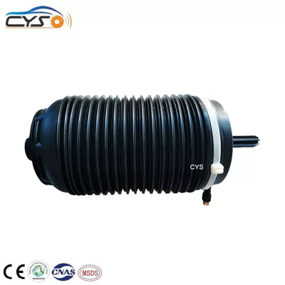 damping system Rear Air Bag Durable
