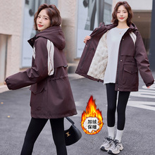 ��Ʒ�����q�ɿ���q��Ů2025�����¿����e�Bñ���b��H�_�h������