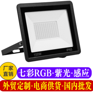 跨境led投光灯户外防水泛光灯100W大功率 草坪庭院聚光投射广告灯详情3