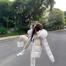 ��ɫ�Ź���q��Ů���p��С�����Bñ����ë��ë�I���L�����������