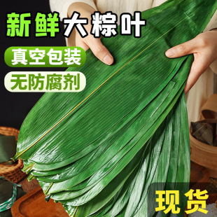 ���l���r�����~�r���~��̖���l��հ��b���繝���������~