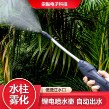 늄Ӈ��F����ˮ�ؿ��ۏ��f���F��wand sprayer power sprayer