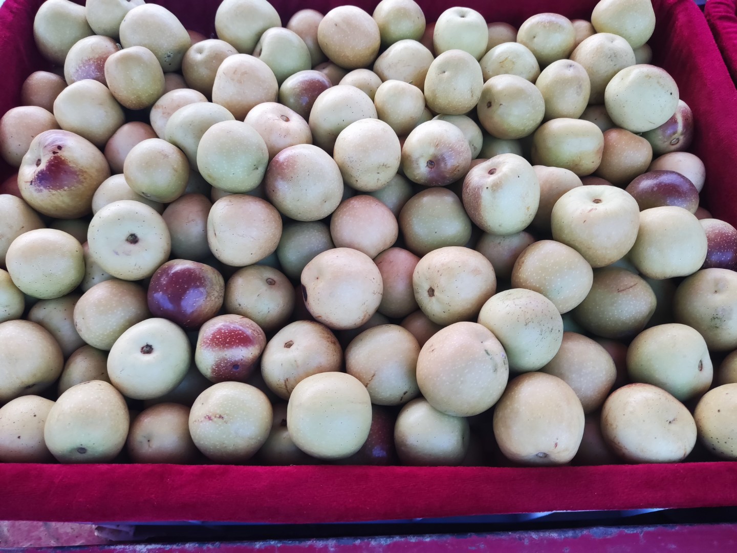 d2ace553-ae16-4cc2-a8b0-7bf64e