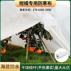 纺粘无纺布;防潮材料;土工布