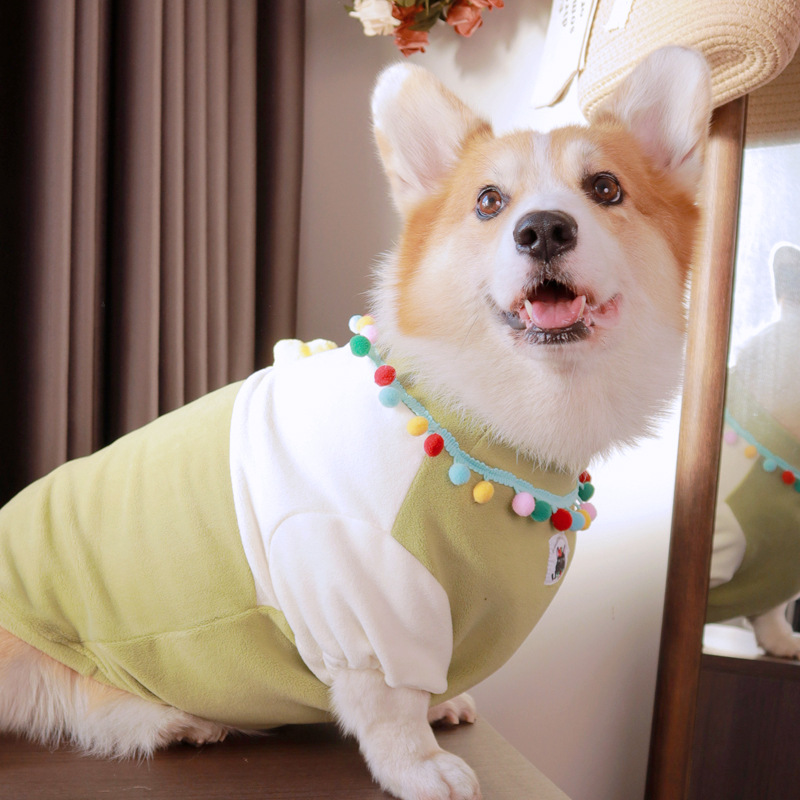 (2개) CORGI SHIBA INU 목가적 인 개 플러스 벨벳 두꺼운 오스트리아 벨벳 티셔츠 애완 동물 옷 플러시 천