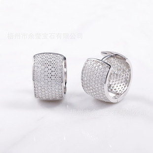 European and American Hip-Hop Style S925 Silver Inlaid D Color Moissanite Hoop Earrings Simple Fashion Trendy Men's and Women's Earrings