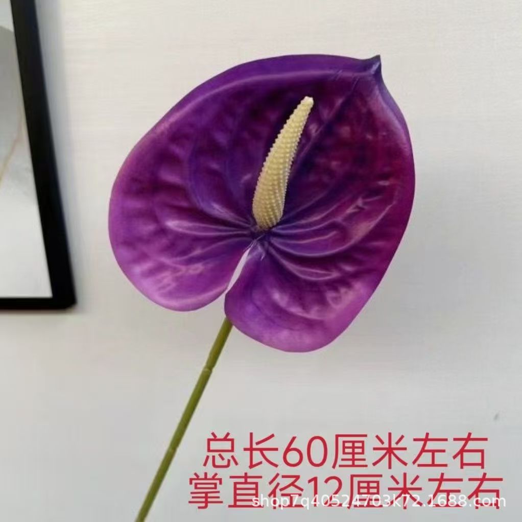색상 번호 17