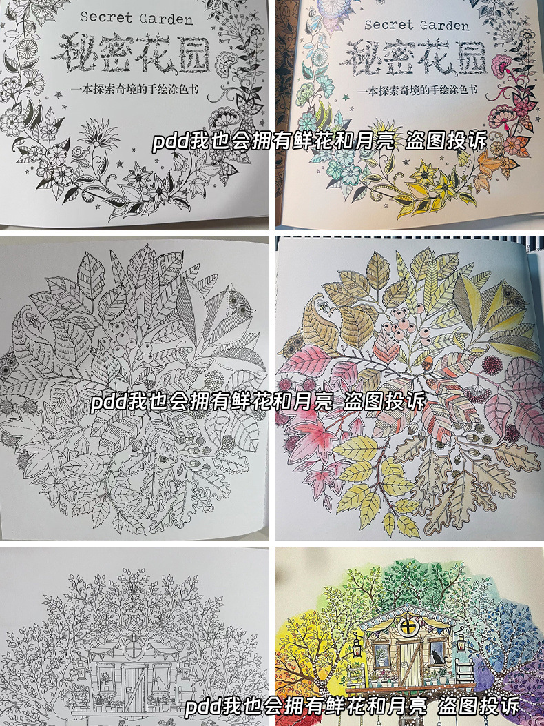 67191adc-d276-4215-b574-1a88ed213cee.jpe