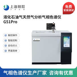 荆和 液化石油气分析气相燃气天然气分析专用G51Pro气相色谱仪