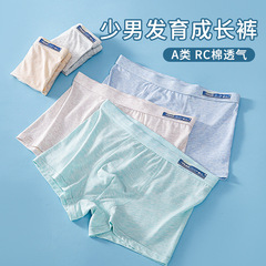 Youth Colorful Cotton Blend Briefs for Boys in Puberty - Exclusive Student Shorts for Middle School and High School Students