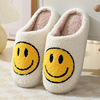 Demi-season slippers for beloved, home cute cartoon non-slip footwear platform indoor, Korean style