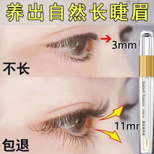 ��ëҺ���w�LҺ�غͲ��̼������ܾ��N��ë��I�BҺ��ë��׶���Һ